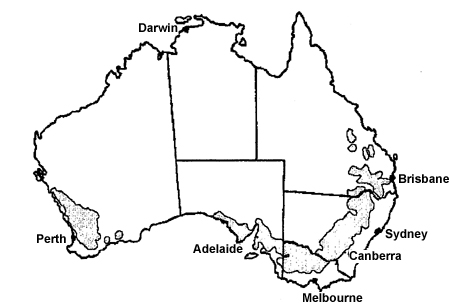 The Australian wheat belt