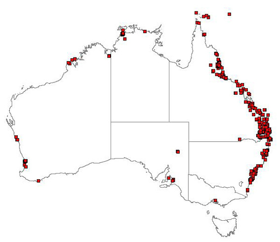 Australian distribution of lantana