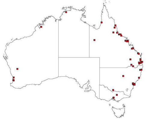 Distribution of E. crassipes in Australia