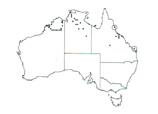Australian distribution of bellyache bush